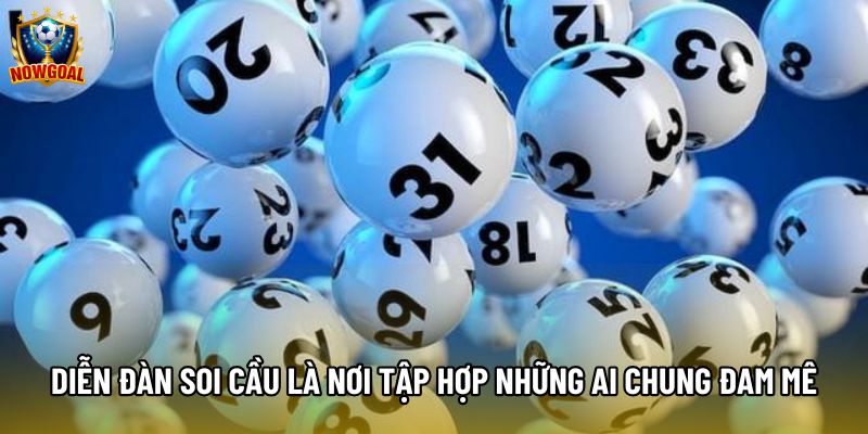 Diễn đàn soi cầu là nơi tập hợp những ai chung đam mê Diễn đàn soi cầu là nơi tập hợp những ai chung đam mê