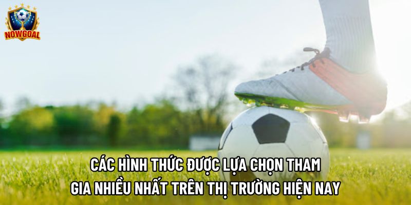 Các hình thức được lựa chọn tham gia nhiều nhất trên thị trường hiện nay