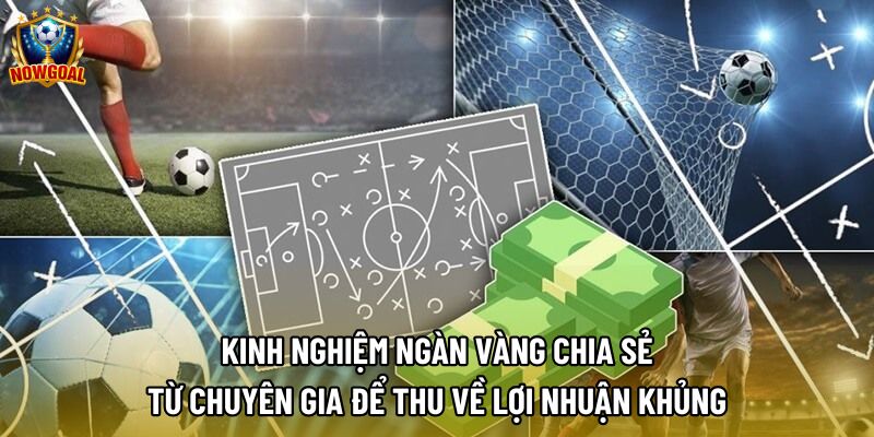 Kinh nghiệm ngàn vàng chia sẻ từ chuyên gia để thu về lợi nhuận khủng