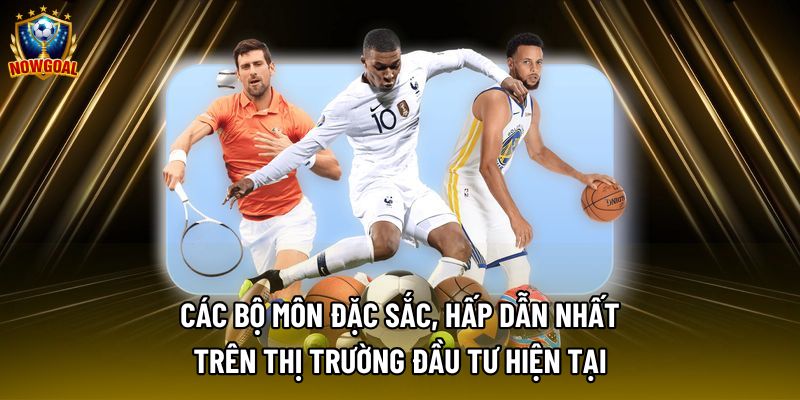 Các bộ môn đặc sắc, hấp dẫn nhất trên thị trường đầu tư hiện tại Các bộ môn đặc sắc, hấp dẫn nhất trên thị trường đầu tư hiện tại
